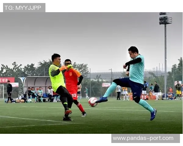 足球踢球部位解析与技巧提升全面指南助你成为场上明星